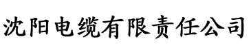 天天综合电缆厂logo